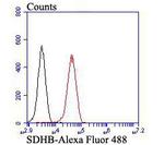 SDHB Antibody in Flow Cytometry (Flow)