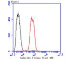 Galectin 3 Antibody in Flow Cytometry (Flow)