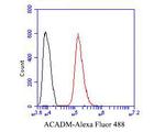 ACADM Antibody in Flow Cytometry (Flow)