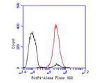 FOXP1 Antibody in Flow Cytometry (Flow)