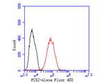 P2X2 Antibody in Flow Cytometry (Flow)