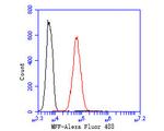 C2orf33 Antibody in Flow Cytometry (Flow)