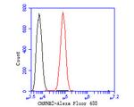 CHRNB2 Antibody in Flow Cytometry (Flow)