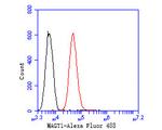 MAGT1 Antibody in Flow Cytometry (Flow)