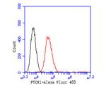 PYCR1 Antibody in Flow Cytometry (Flow)