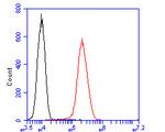 GOLGA7 Antibody in Flow Cytometry (Flow)