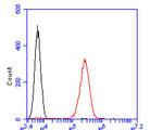 KCNQ4 Antibody in Flow Cytometry (Flow)