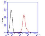 Apolipoprotein J Antibody in Flow Cytometry (Flow)