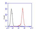 Cullin 4B Antibody in Flow Cytometry (Flow)