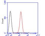 KAP3 Antibody in Flow Cytometry (Flow)