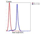 STAT1 alpha/beta Antibody in Flow Cytometry (Flow)