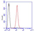 GRIK4 Antibody in Flow Cytometry (Flow)