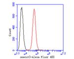 ONECUT3 Antibody in Flow Cytometry (Flow)