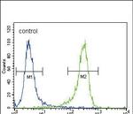 PGP9.5 Antibody in Flow Cytometry (Flow)