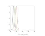 CYP7A1 Antibody in Flow Cytometry (Flow)