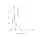 PLA2R1 Antibody in Flow Cytometry (Flow)