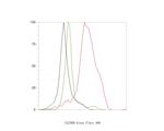 CLCNKB Antibody in Flow Cytometry (Flow)