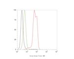 STRAP Antibody in Flow Cytometry (Flow)