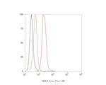 UCRC Antibody in Flow Cytometry (Flow)