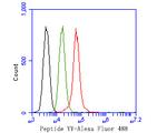 PYY Antibody in Flow Cytometry (Flow)