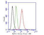 MYT1L Antibody in Flow Cytometry (Flow)