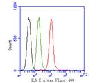 HLA-E Antibody in Flow Cytometry (Flow)