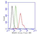 B3GAT1 Antibody in Flow Cytometry (Flow)