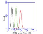 CNOT1 Antibody in Flow Cytometry (Flow)