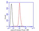 ONECUT3 Antibody in Flow Cytometry (Flow)