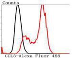 CCL3 (MIP-1 alpha) Antibody in Flow Cytometry (Flow)