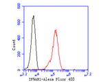 IFNAR1 Antibody in Flow Cytometry (Flow)