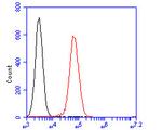 PLCG2 Antibody in Flow Cytometry (Flow)