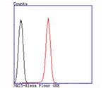 NME1 Antibody in Flow Cytometry (Flow)