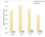 H4K5ac Antibody in ChIP Assay (ChIP)