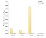 KDM5A Antibody in ChIP Assay (ChIP)