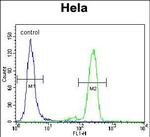 PML Antibody in Flow Cytometry (Flow)