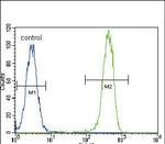 PCNA Antibody in Flow Cytometry (Flow)