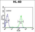 SNRPD1 Antibody in Flow Cytometry (Flow)