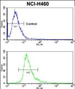 CAR Antibody in Flow Cytometry (Flow)