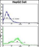 CD38 Antibody in Flow Cytometry (Flow)