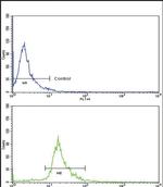 CD105 Antibody in Flow Cytometry (Flow)