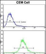 CD36 Antibody in Flow Cytometry (Flow)