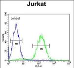 MAGEA3 Antibody in Flow Cytometry (Flow)