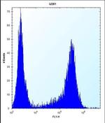 HES1 Antibody in Flow Cytometry (Flow)