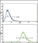 CNOT8 Antibody in Flow Cytometry (Flow)