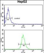 ELOVL6 Antibody in Flow Cytometry (Flow)