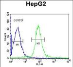 VHL Antibody in Flow Cytometry (Flow)