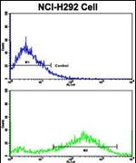 Osteopontin Antibody in Flow Cytometry (Flow)