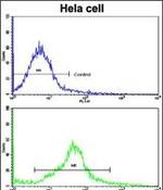 CREB3L1 Antibody in Flow Cytometry (Flow)