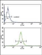 Decorin Antibody in Flow Cytometry (Flow)